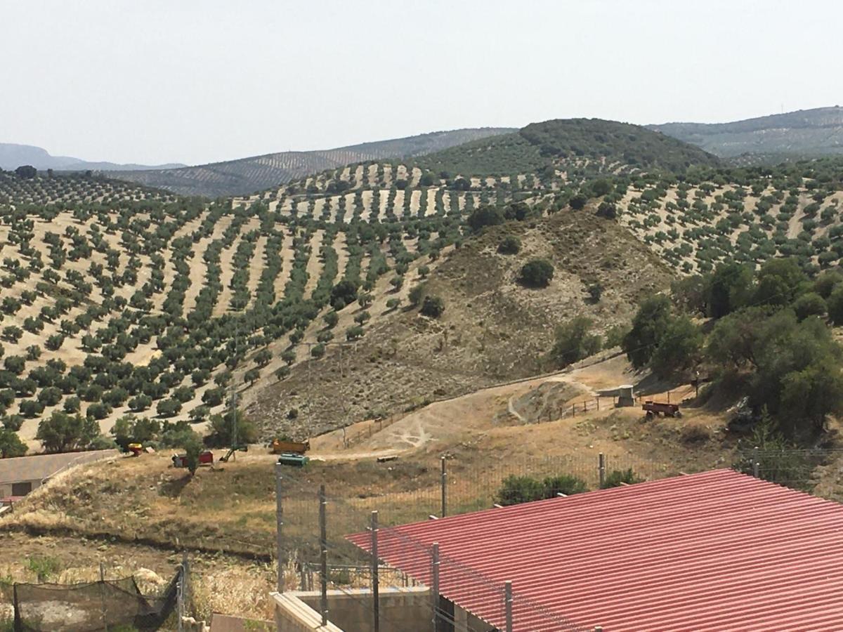 Apartamento Turistico Mirador De Sierra Magina Noalejo Entre Granada Y Jaen Экстерьер фото
